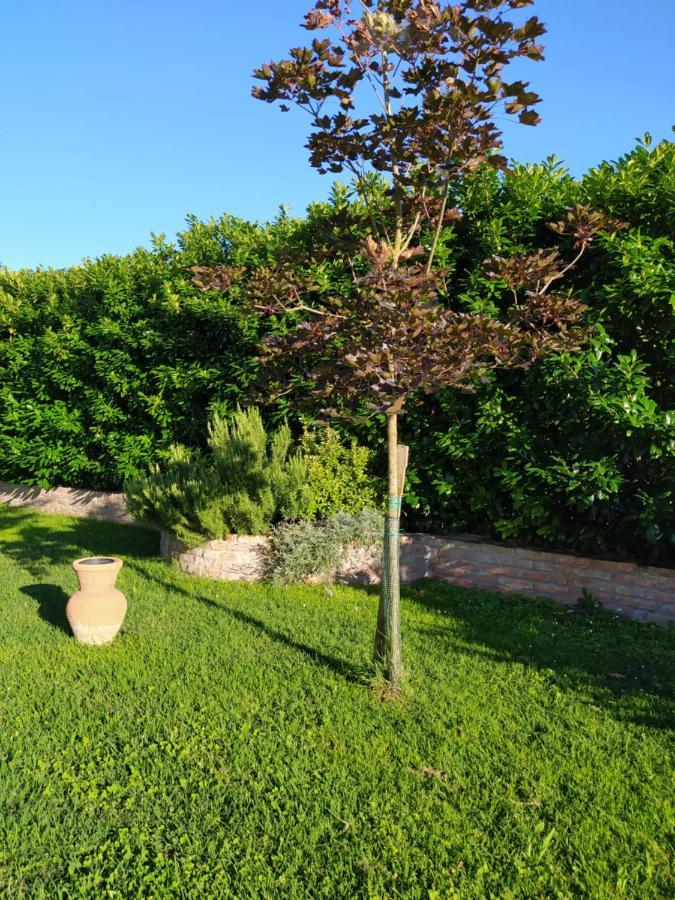 Soggiorno In Relax Correggioverde Luaran gambar